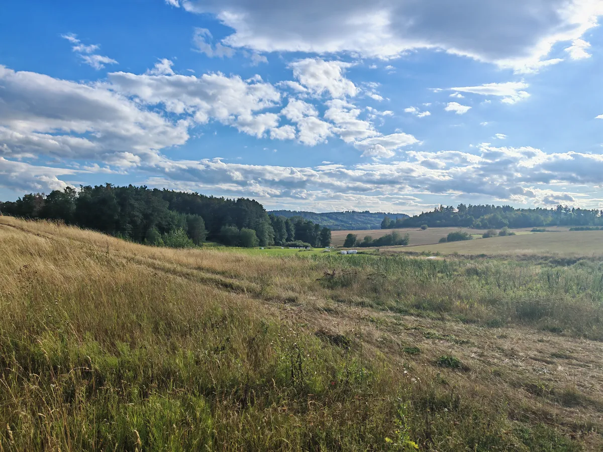 Prodej stavebního pozemku 9500 m²
